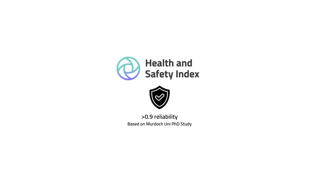 Health & Safety Index: Validation Review
