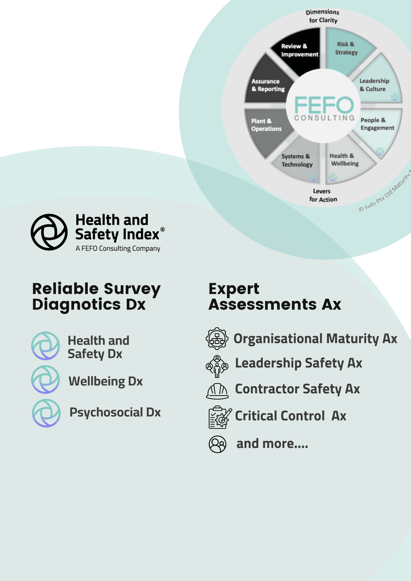 Performance (Maturity) Assessments