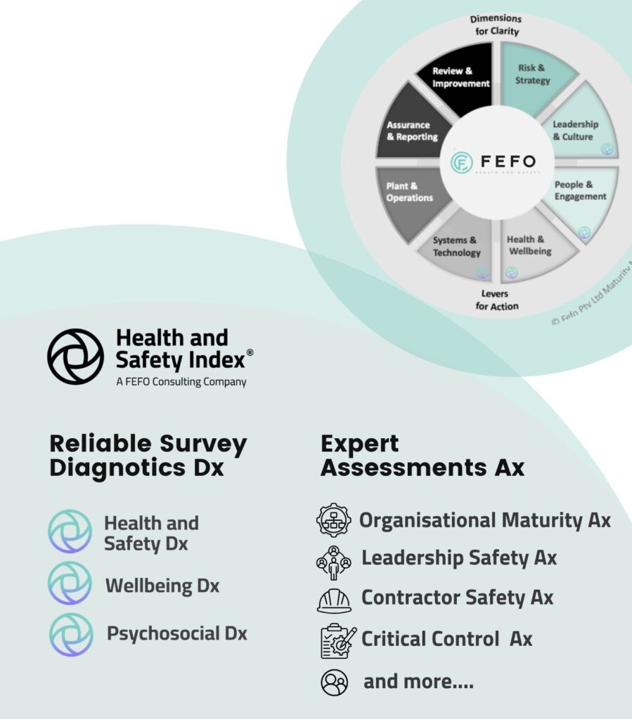 WHS Performance (Maturity) Assessment